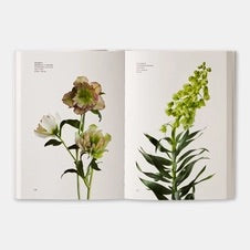 FLOWER COLOUR GUIDE