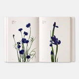 FLOWER COLOUR GUIDE