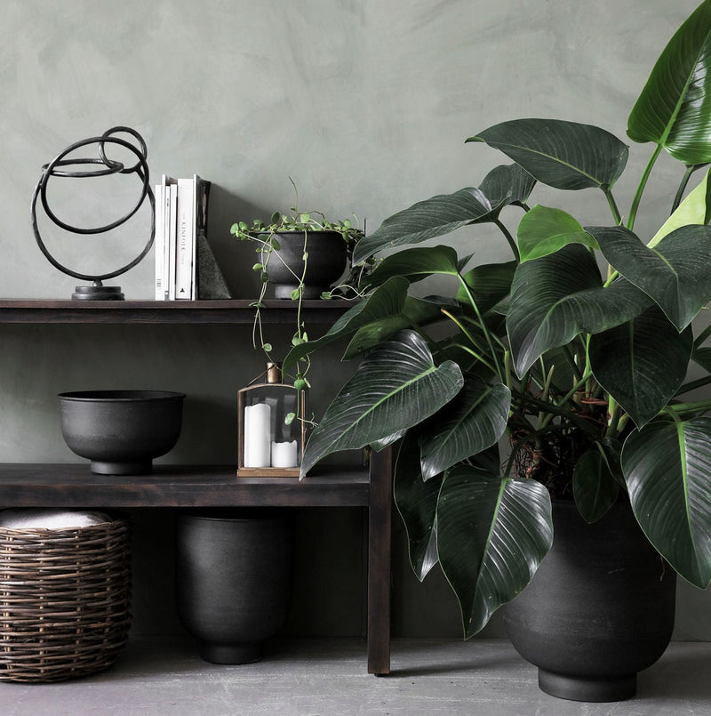 PLANTER VIG GREY