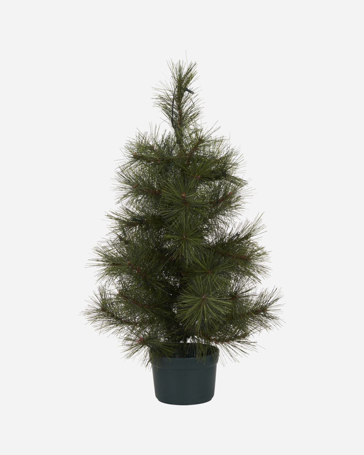 CHRISTMAS TREE W. LED, PINUS, NATURE