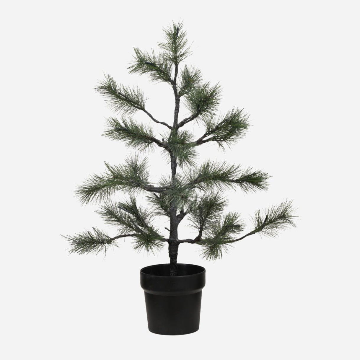 CHRISTMAS TREE WITH LED, NATURE, H:75cm